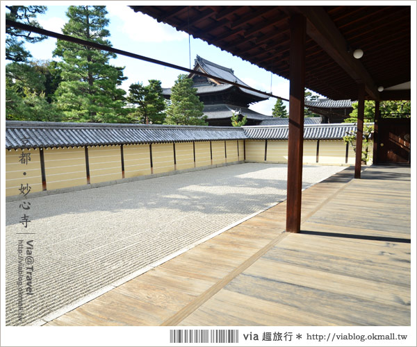 京都寺廟》京都妙心寺～列為重要文化財的日式寺院！