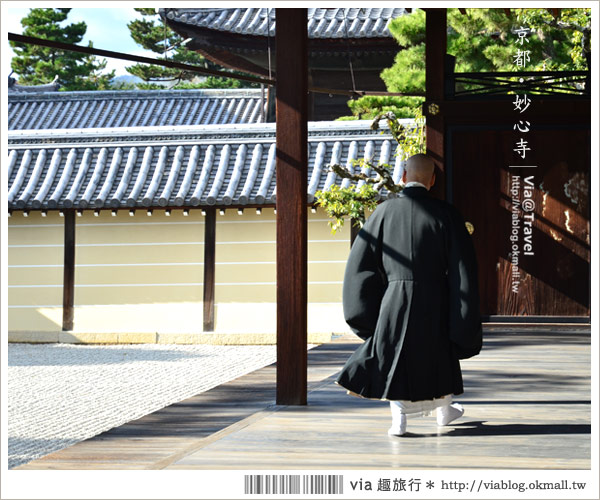 京都寺廟》京都妙心寺～列為重要文化財的日式寺院！