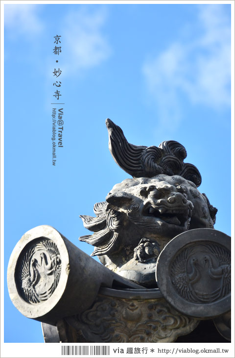 京都寺廟》京都妙心寺～列為重要文化財的日式寺院！