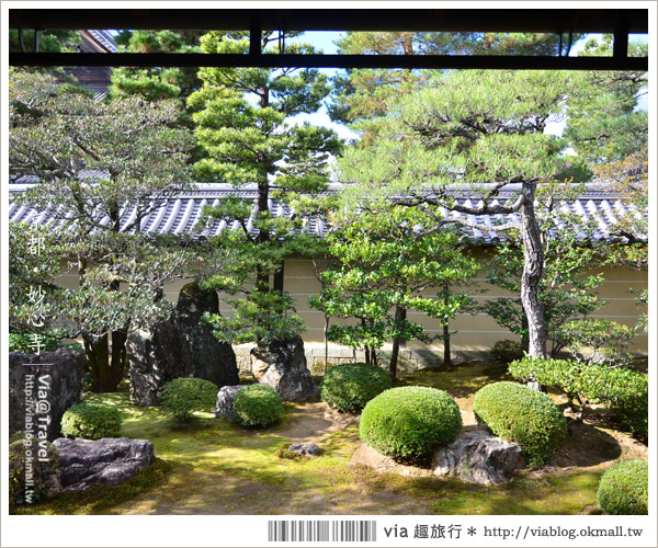 京都寺廟》京都妙心寺～列為重要文化財的日式寺院！