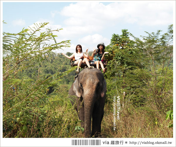 Via帶你玩泰國》泰國桂河之旅（上）～大象村、Jungle Raft水上旅館篇