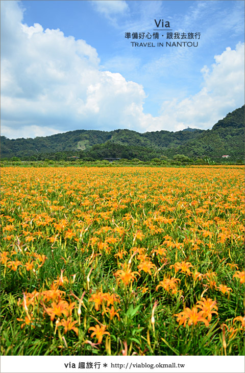 莎喲那那，再會了～Via的2011年、民國100年！