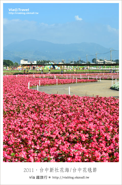 莎喲那那，再會了～Via的2011年、民國100年！