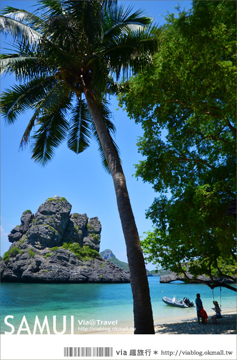 蘇美島旅遊》Via浪漫蘇美旅誌～出海囉！安通國家公園海上精彩一日遊！