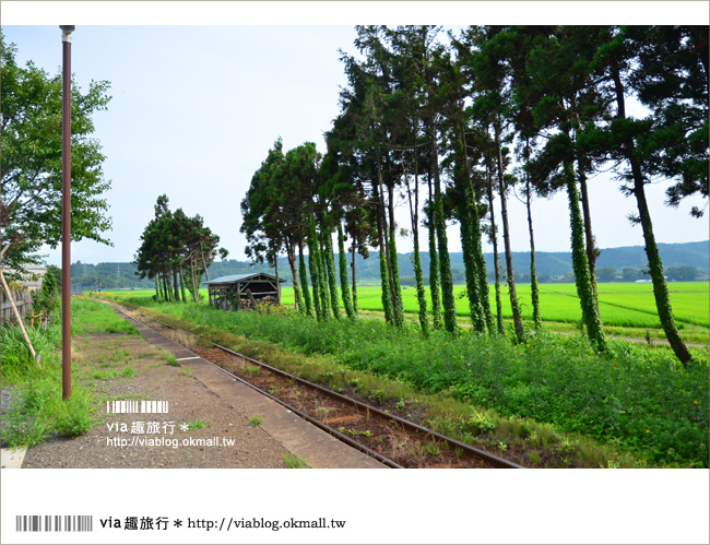 秋田鐵道旅行》via東北小旅行(7)美景慢慢遊：由利高原鐵道～鳥海山麓線