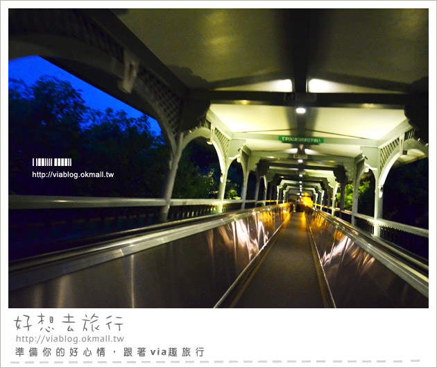 長崎景點》夜遊浪漫長崎～哥拉巴公園VS日本三大夜景～稻佐山夜景