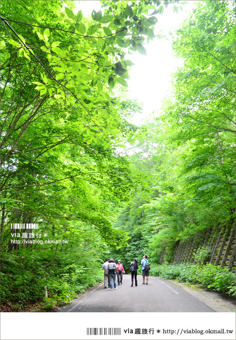 青森遊記》via東北輕夏小旅行(5)青森白神山地十二湖～拜訪夢幻「青池」！