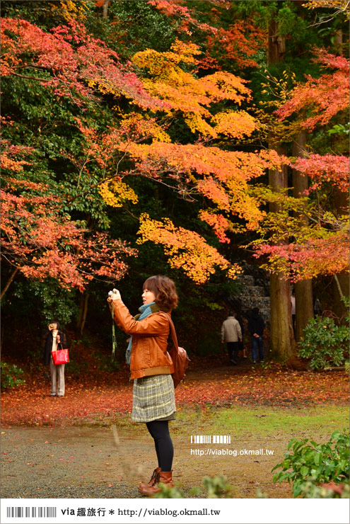 紅葉最前線》京都｜高雄神護寺～via＊2012京都紅葉紀旅的華麗首站！