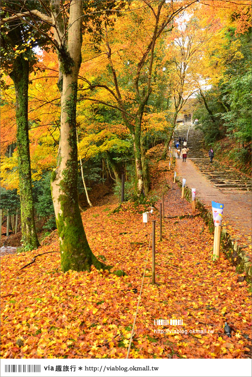 紅葉最前線》京都｜高雄神護寺～via＊2012京都紅葉紀旅的華麗首站！