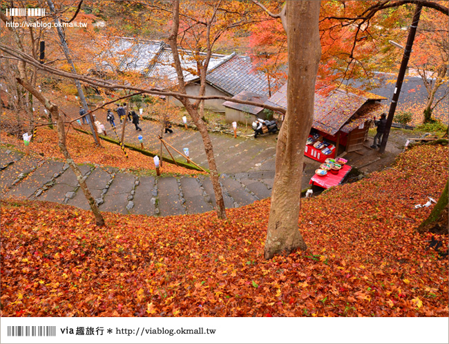 紅葉最前線》京都｜高雄神護寺～via＊2012京都紅葉紀旅的華麗首站！