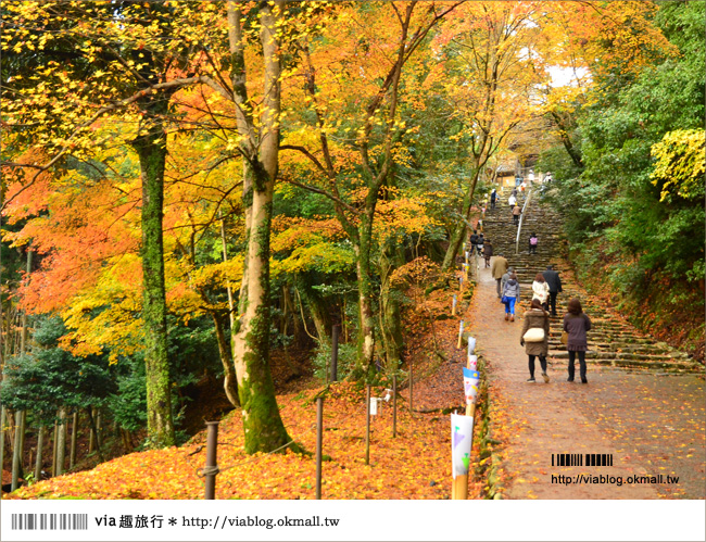 紅葉最前線》京都｜高雄神護寺～via＊2012京都紅葉紀旅的華麗首站！