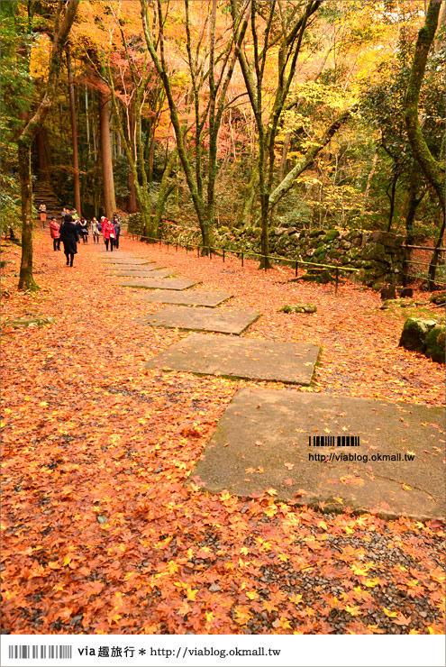 【京阪神自由行】關西賞楓懶人包！大阪、京都、奈良｜Via的紅葉美景全記錄♥ （目前收集28個，持續更新中）