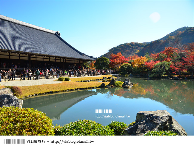 【京阪神自由行】關西賞楓懶人包！大阪、京都、奈良｜Via的紅葉美景全記錄♥ （目前收集28個，持續更新中）