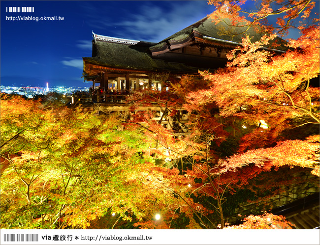 京都清水寺》京都夜楓必遊景點～京都清水寺夜楓