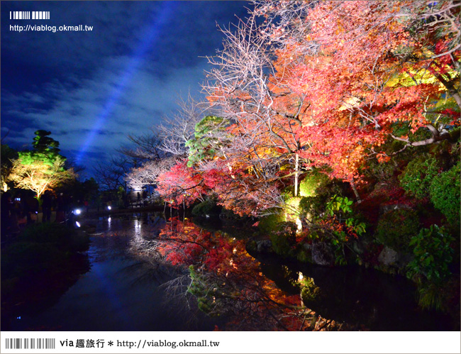 京都清水寺》京都夜楓必遊景點～京都清水寺夜楓