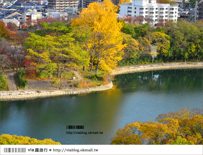 岡山自由行》柯南之旅～岡山城＋後樂園，日本三大名園美景如畫