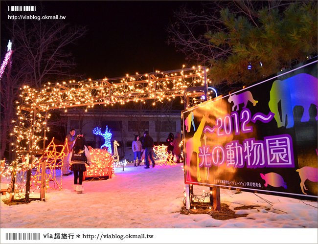 鳥取旅遊》鳥取沙丘光之序章《夜間燈祭》～感受冬季限定的浪漫光景！