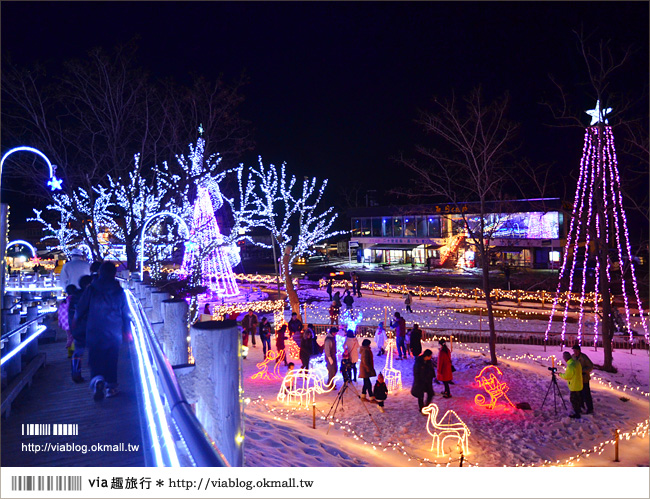 鳥取旅遊》鳥取沙丘光之序章《夜間燈祭》～感受冬季限定的浪漫光景！