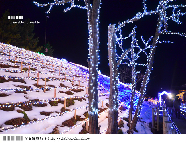 鳥取旅遊》鳥取沙丘光之序章《夜間燈祭》～感受冬季限定的浪漫光景！