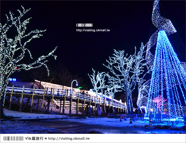 鳥取旅遊》鳥取沙丘光之序章《夜間燈祭》～感受冬季限定的浪漫光景！