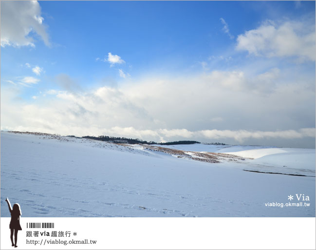 鳥取旅行》鳥取砂丘～變身雪丘也好美！鳥取必玩的旅遊景點～