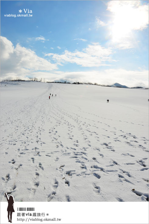 鳥取旅行》鳥取砂丘～變身雪丘也好美！鳥取必玩的旅遊景點～