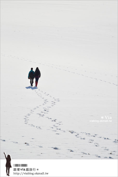 鳥取旅行》鳥取砂丘～變身雪丘也好美！鳥取必玩的旅遊景點～