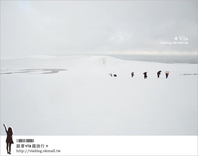 鳥取旅行》鳥取砂丘～變身雪丘也好美！鳥取必玩的旅遊景點～