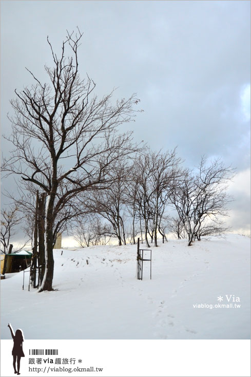 鳥取旅行》鳥取砂丘～變身雪丘也好美！鳥取必玩的旅遊景點～