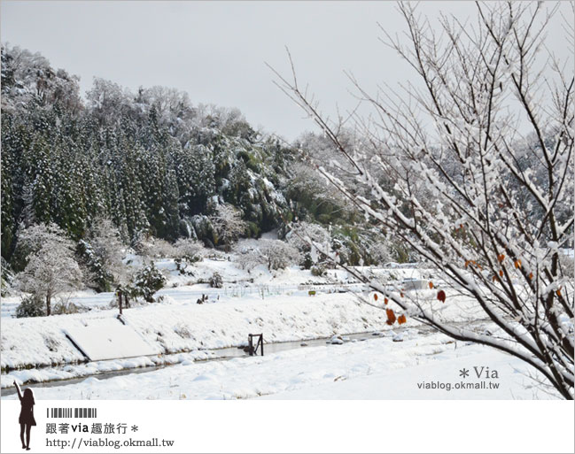 鳥取旅行》三朝溫泉～擁有「療癒系名湯」美名的百年溫泉鄉！