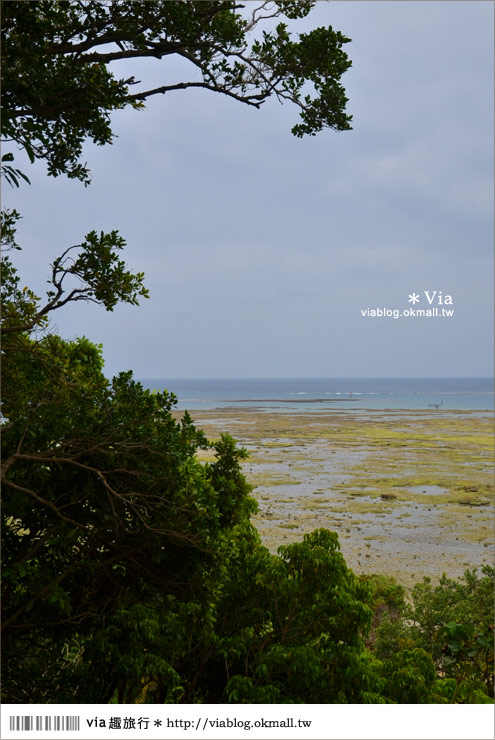 沖繩餐廳》沖繩「山之茶屋・樂水」～一個有山有海的療癒系木屋茶坊！