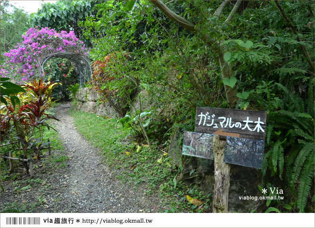 沖繩餐廳》沖繩「山之茶屋・樂水」～一個有山有海的療癒系木屋茶坊！