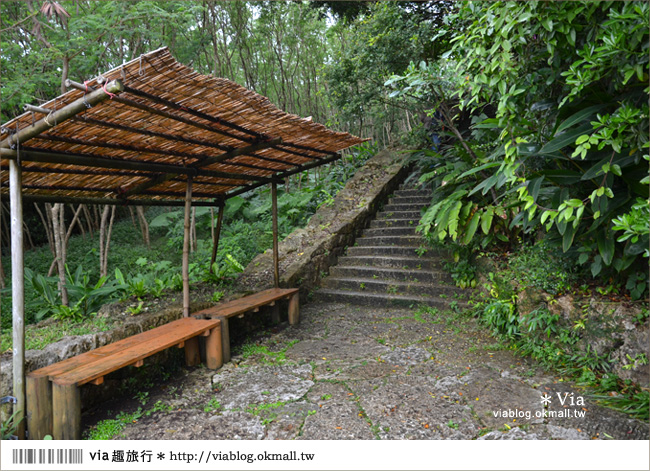 沖繩餐廳》沖繩「山之茶屋・樂水」～一個有山有海的療癒系木屋茶坊！