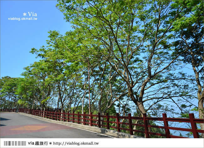 南投鹿谷一日遊》鹿谷鄉鳳凰谷鳥園～百種珍禽、綠蓊翠林等您來玩！