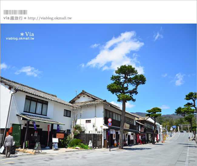 出雲大社商店街》島根出雲大社前車站、商店街～結緣小物及料理、好吃又好玩！