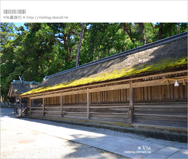 島根必去》出雲大社～島根必去的結緣景點！日本最火紅的求良緣聖地！