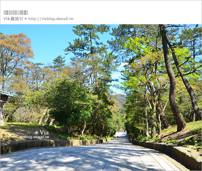 島根必去》出雲大社～島根必去的結緣景點！日本最火紅的求良緣聖地！