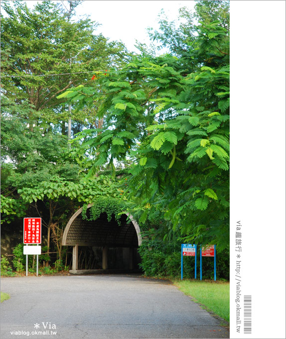 台東旅遊景點》台東森林公園～悠閒騎單車、走入大自然的好去處！