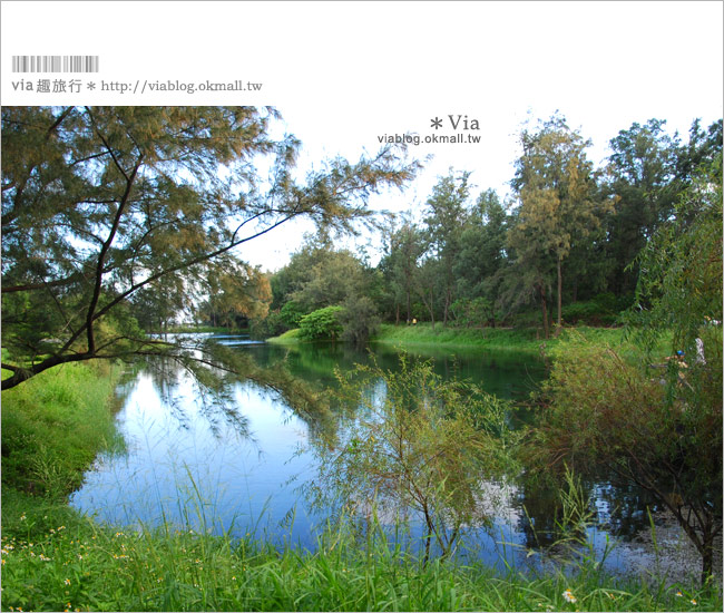 台東旅遊景點》台東森林公園～悠閒騎單車、走入大自然的好去處！