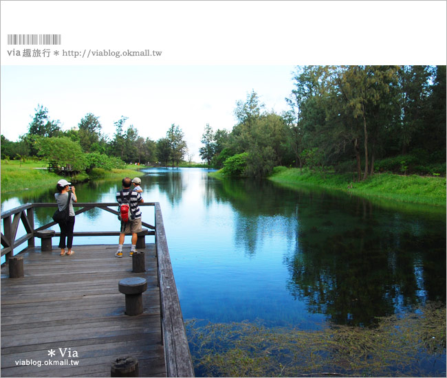 台東旅遊景點》台東森林公園～悠閒騎單車、走入大自然的好去處！