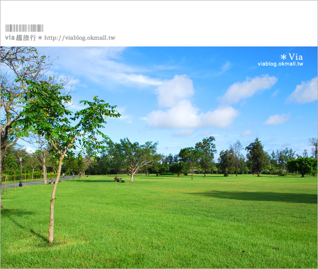 台東旅遊景點》台東森林公園～悠閒騎單車、走入大自然的好去處！