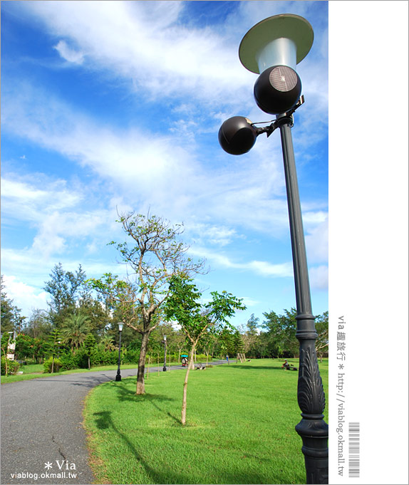 台東旅遊景點》台東森林公園～悠閒騎單車、走入大自然的好去處！