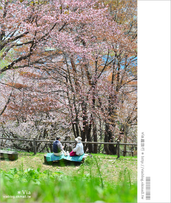 層雲峽景點》上川之旅～上川公園、旭之丘、層雲峽纜車、銀河流星瀑布、寫真展覽室