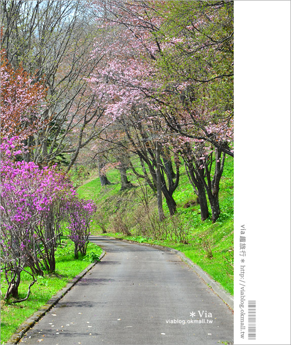 層雲峽景點》上川之旅～上川公園、旭之丘、層雲峽纜車、銀河流星瀑布、寫真展覽室