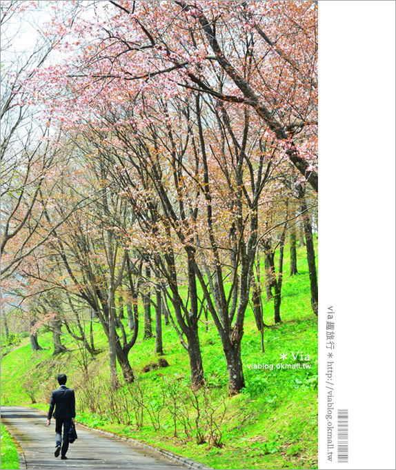 層雲峽景點》上川之旅～上川公園、旭之丘、層雲峽纜車、銀河流星瀑布、寫真展覽室