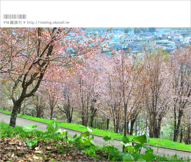 層雲峽景點》上川之旅～上川公園、旭之丘、層雲峽纜車、銀河流星瀑布、寫真展覽室