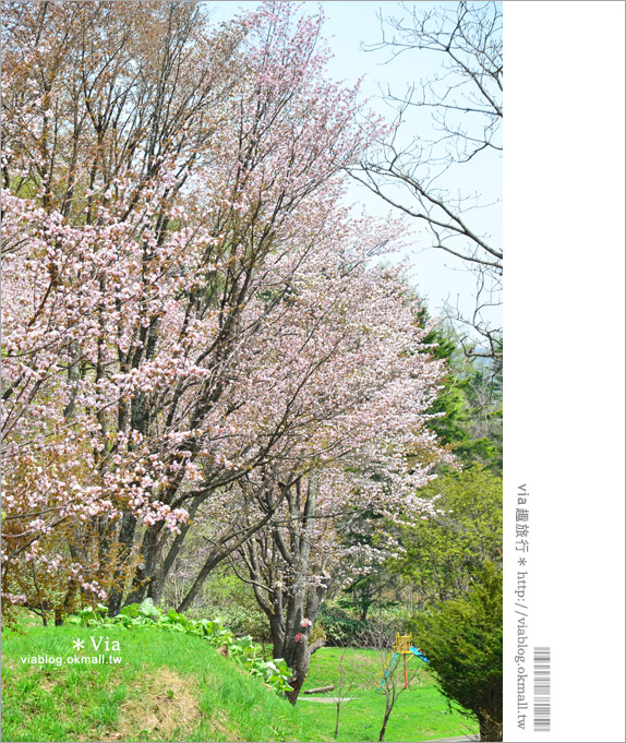 層雲峽景點》上川之旅～上川公園、旭之丘、層雲峽纜車、銀河流星瀑布、寫真展覽室