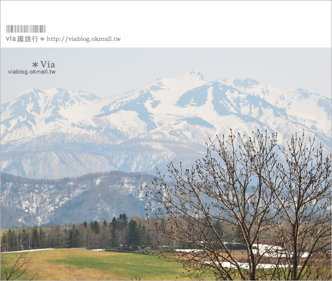 層雲峽景點》上川之旅～上川公園、旭之丘、層雲峽纜車、銀河流星瀑布、寫真展覽室