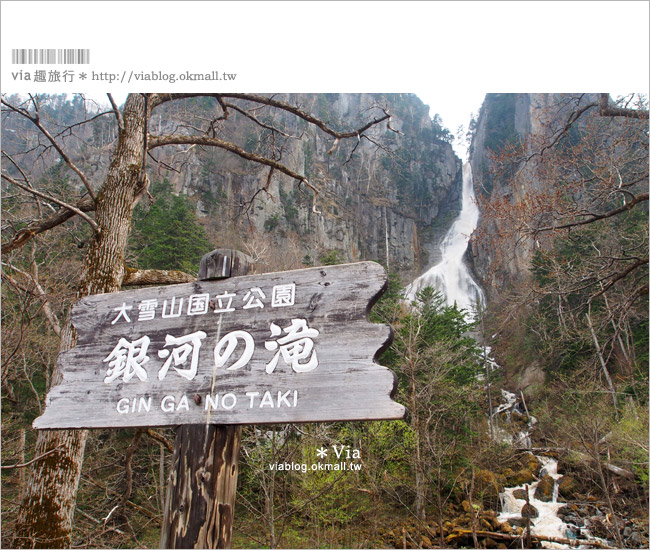 層雲峽景點》上川之旅～上川公園、旭之丘、層雲峽纜車、銀河流星瀑布、寫真展覽室