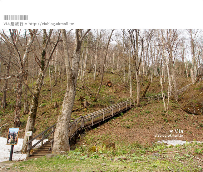 層雲峽景點》上川之旅～上川公園、旭之丘、層雲峽纜車、銀河流星瀑布、寫真展覽室